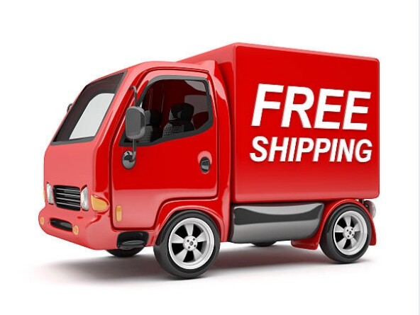 The logistics fees and free shipping policy on the website cover which countries?